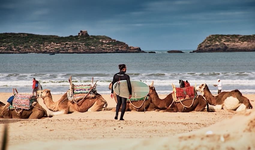 img_5881-1 Morocco: 🇲🇦 The 10 Most Beautiful Beaches in Morocco