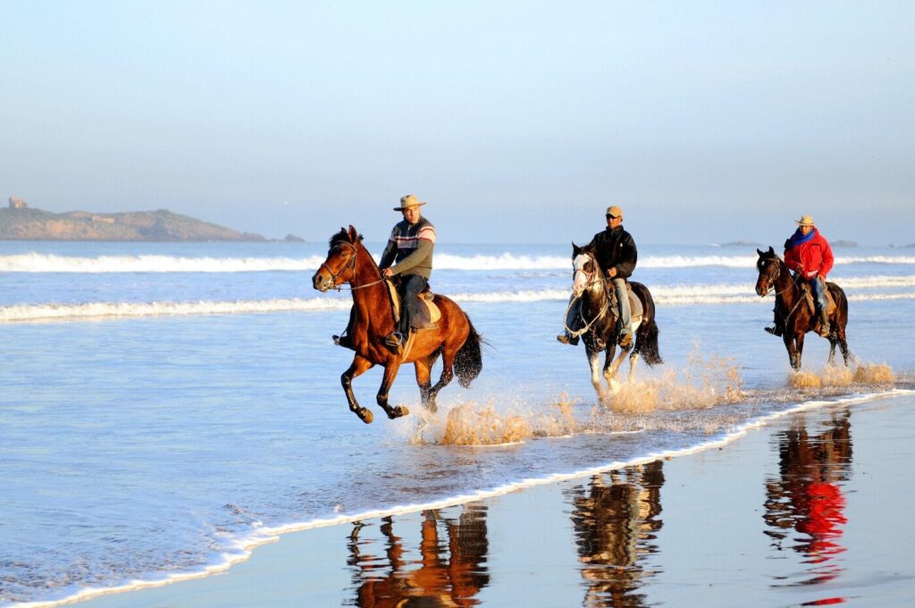 img_5883-1-1024x680 Morocco: 🇲🇦 The 10 Most Beautiful Beaches in Morocco